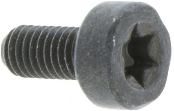 SKRUV TORX D10, M5X10,5 i gruppen  hos Gräsklipparbutiken (5032153-10)