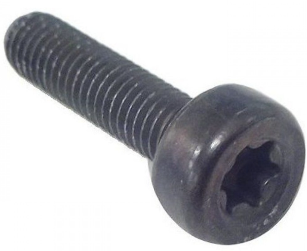 SKRUV TORX D10, M5X20 i gruppen  hos Gräsklipparbutiken (5032153-20)