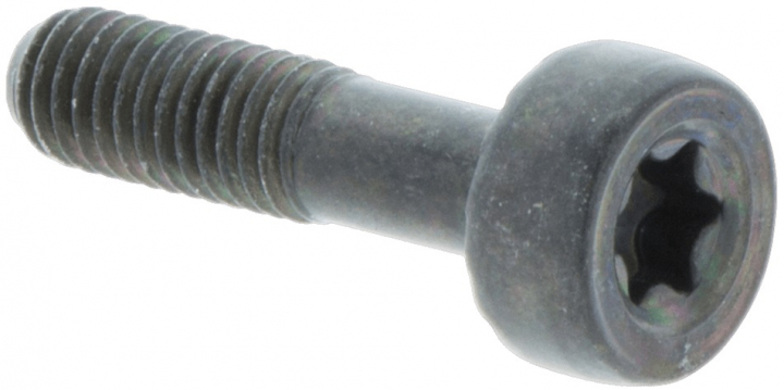 SKRUV TORX D10, M5X20 i gruppen  hos Gräsklipparbutiken (5032153-21)