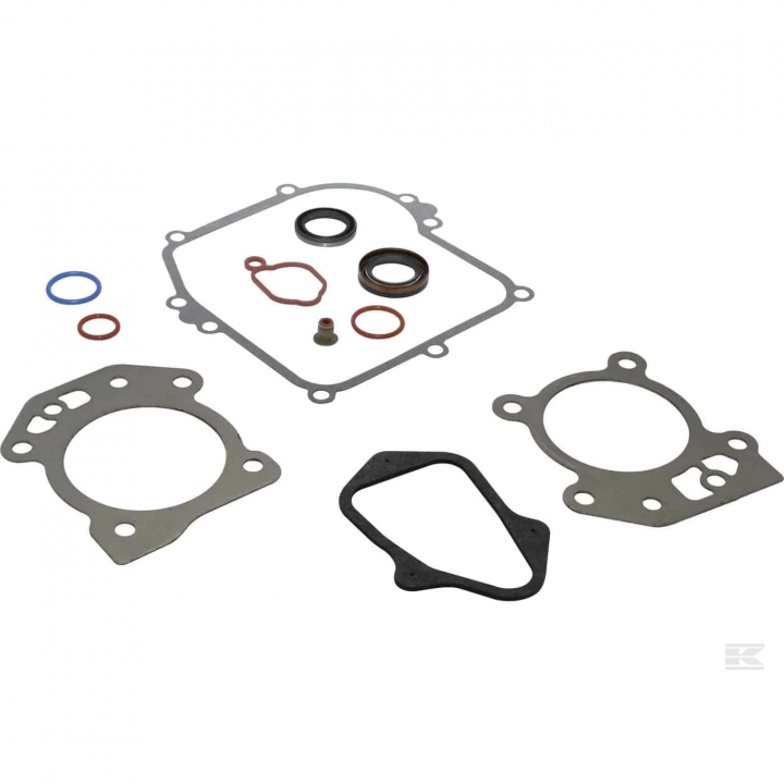 Gasket Kit B&S 595350 i gruppen Reservdelar Gräsklippare / Reservdelar Briggs & Stratton hos Gräsklipparbutiken (5822886-23)