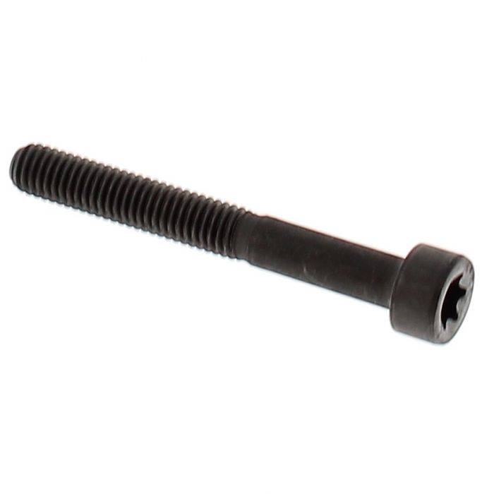 Screw Itxscft Pl6X16 T27 10,9 i gruppen  hos Gräsklipparbutiken (5823927-01)