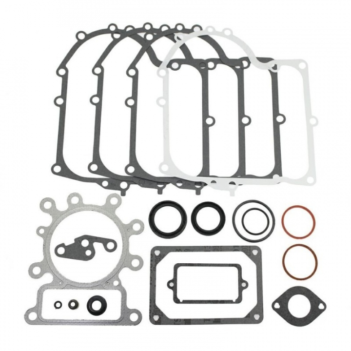 Packningssats i gruppen Reservdelar Gräsklippare / Reservdelar Briggs & Stratton hos Gräsklipparbutiken (691580)