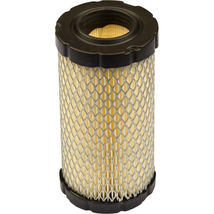 Filter-Air Cleaner Cartridge i gruppen Reservdelar Gräsklippare / Reservdelar Briggs & Stratton / Filter Briggs & Stratton hos Gräsklipparbutiken (793569)